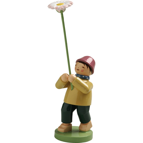 Junge mit Gänseblümchen