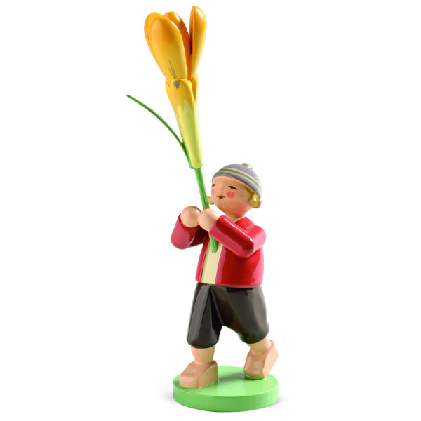 Junge mit Krokus