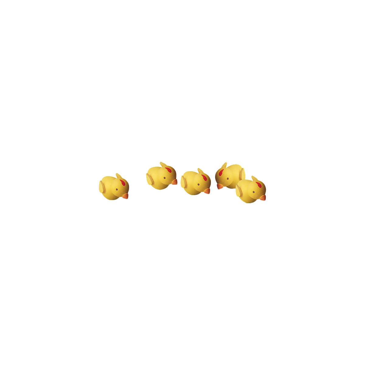 Küken, einzeln