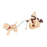 Junge mit Hundeschlitten