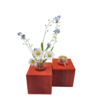 Rote Minivase & MIniöllampe im Set, Fichte