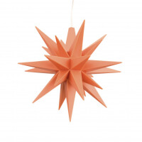 Miniaturstern apricot Sonderedition 2026