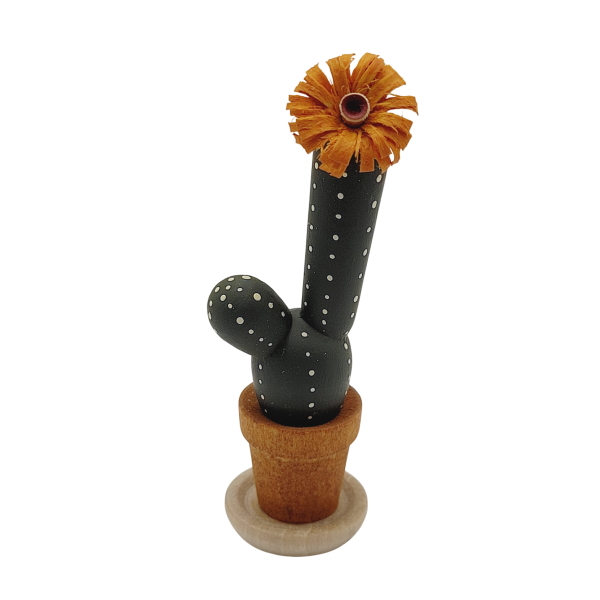 Kaktus mit orangener Blüte, zwei-armig